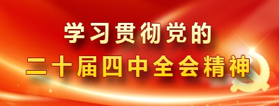 党的二十届四中全会精神
